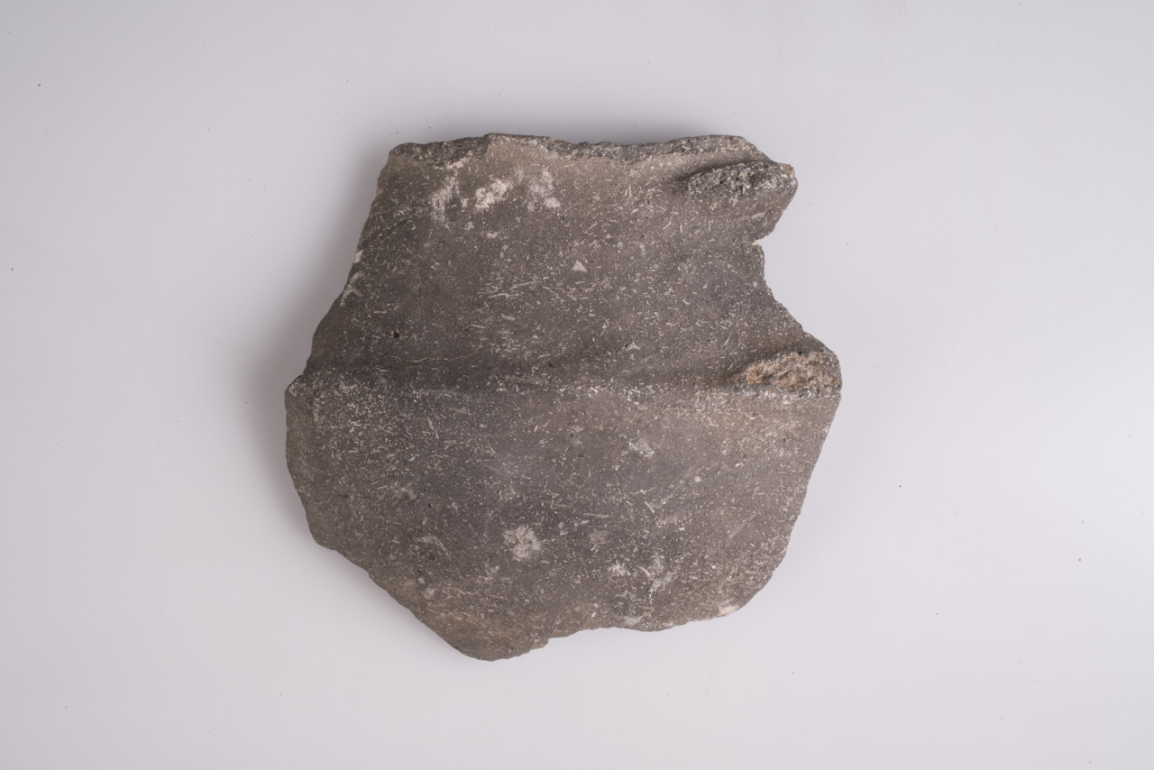 tazza carenata/ frammento - ambito nord-padano (Età del Bronzo recente)