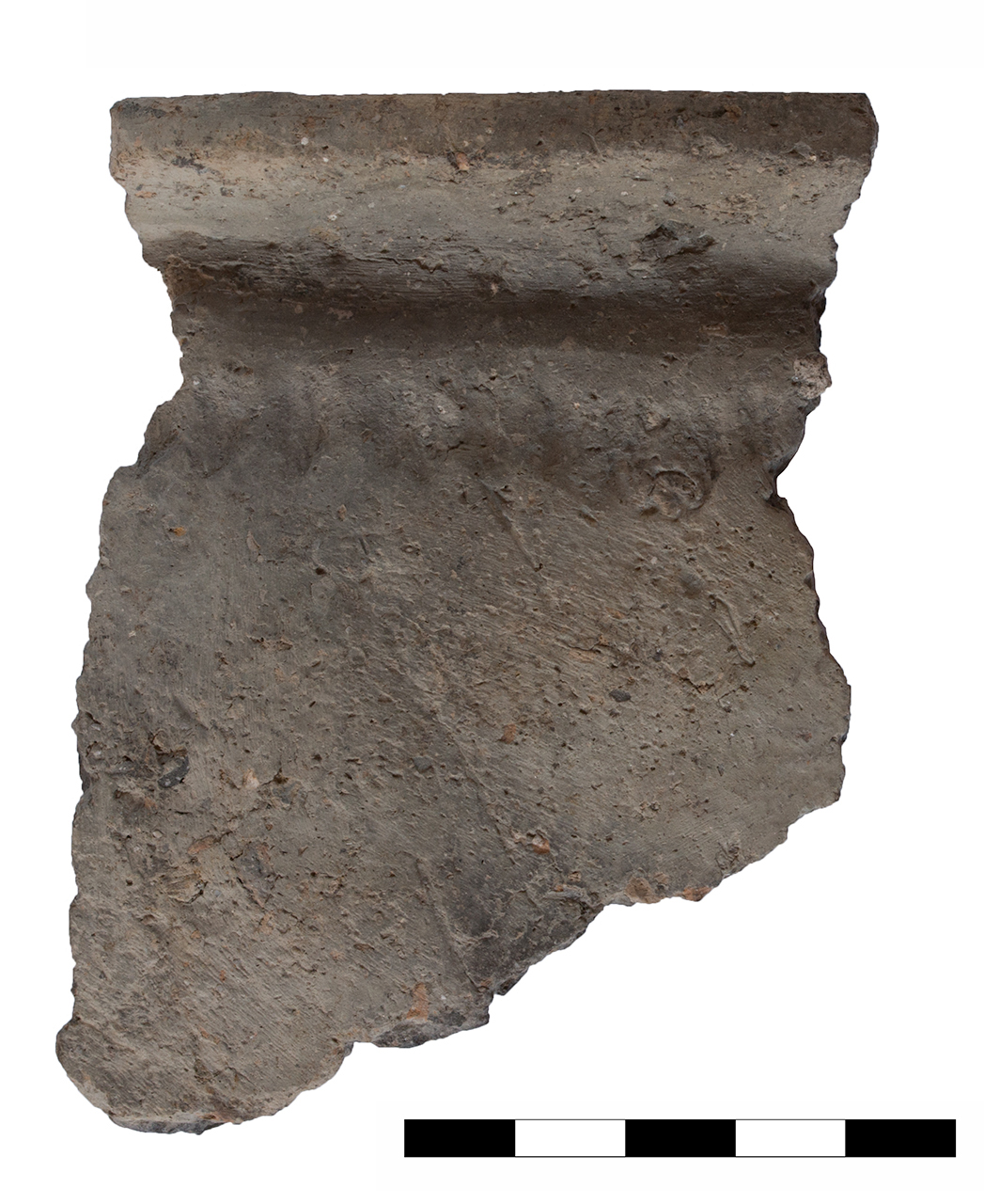 olla/ a corpo ovoide, orlo, parete (età del bronzo recente-finale)