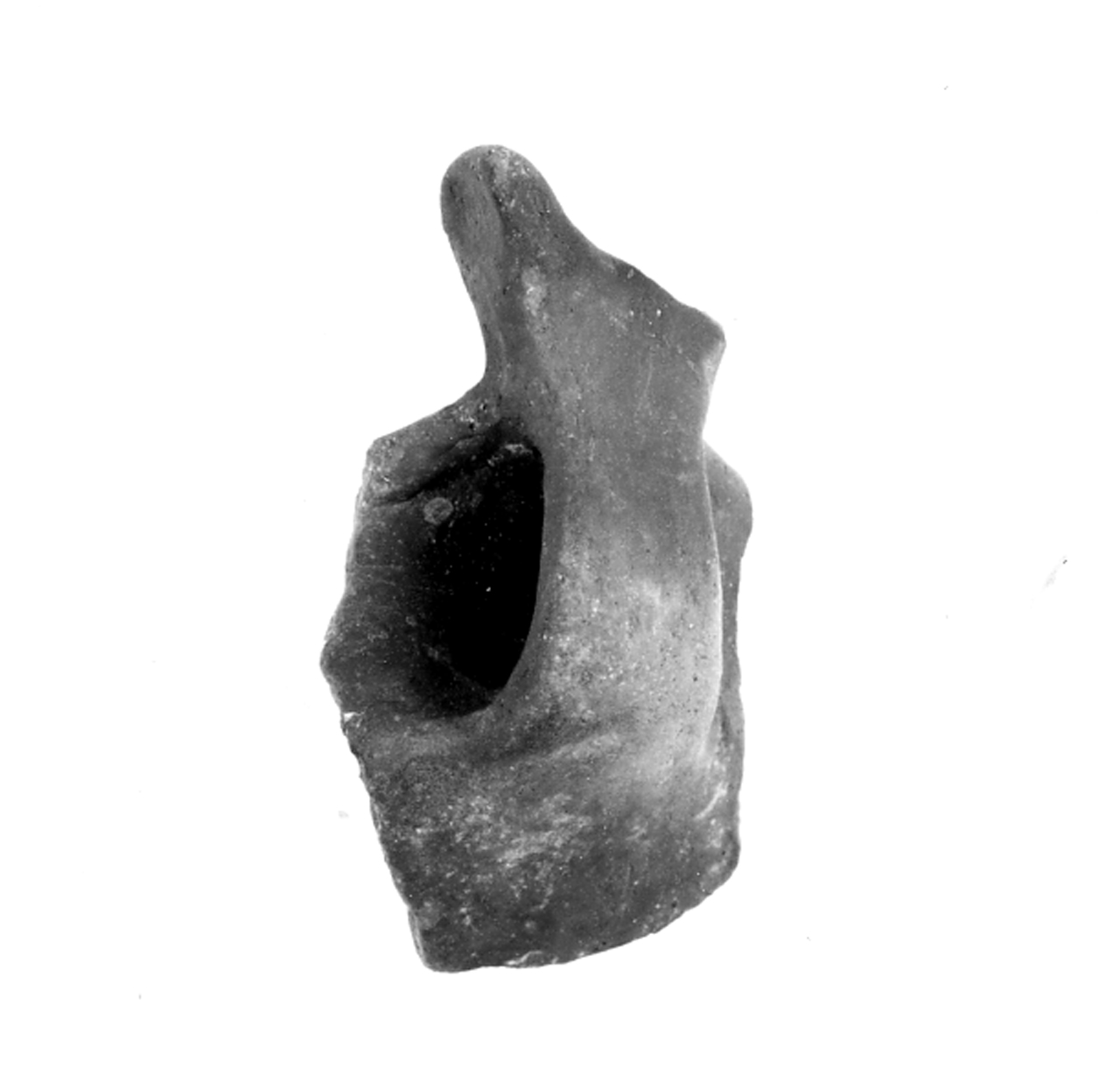 tazza/ ansa a nastro con apofisi - ambito berico-euganeo (secc. XIII/ XII a.C)