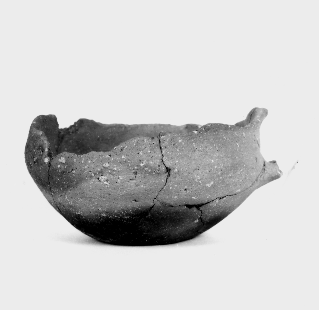 tazza carenata - ambito berico-euganeo (secc. XIV/ XII a.C)
