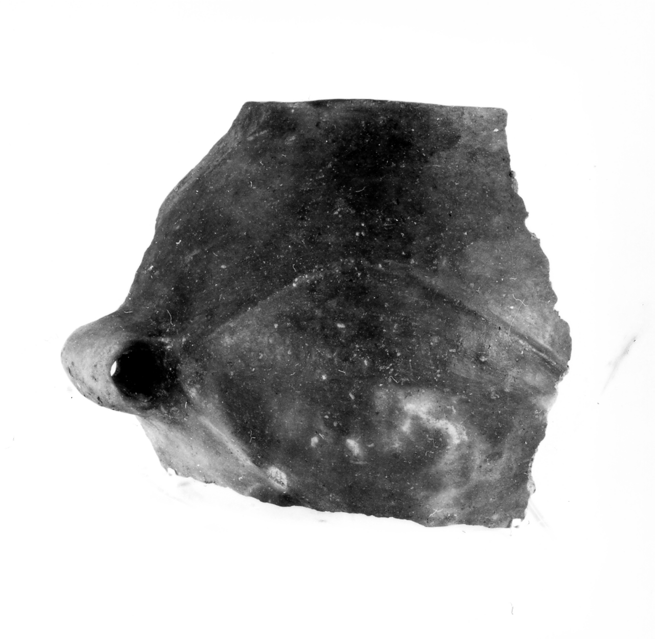 olla globulare cordonata - ambito berico-euganeo (secc. XIII/ XII a.C)