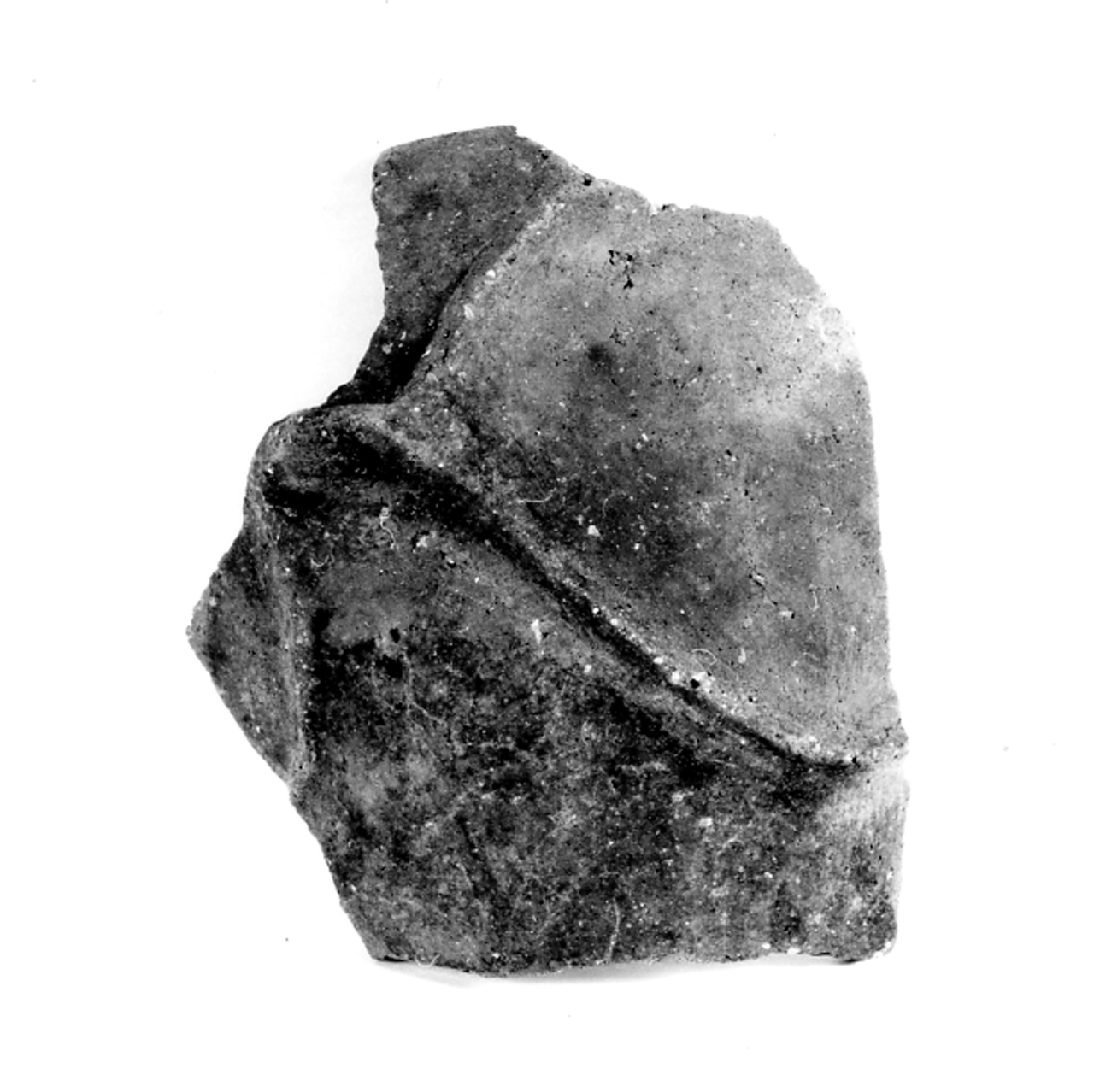 dolio cordonato/ presa - ambito berico-euganeo (secc. XIII/ XII a.C)