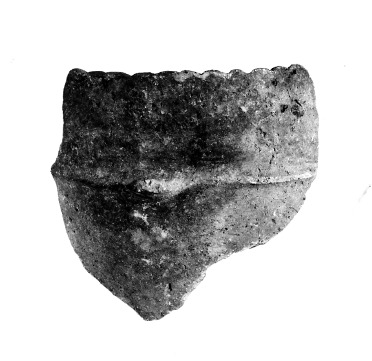 scodellone dolio - ambito berico-euganeo (secc. XIII/ XII a.C)