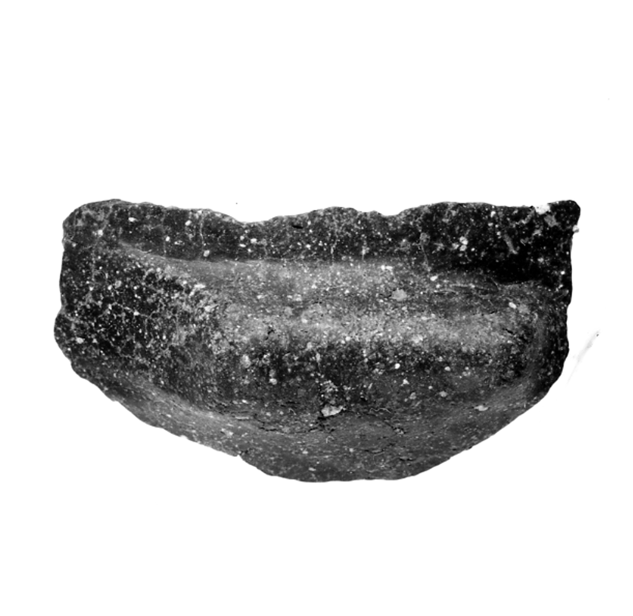 presa a rocchetto - ambito berico-euganeo (secc. XIII/ XII a.C)
