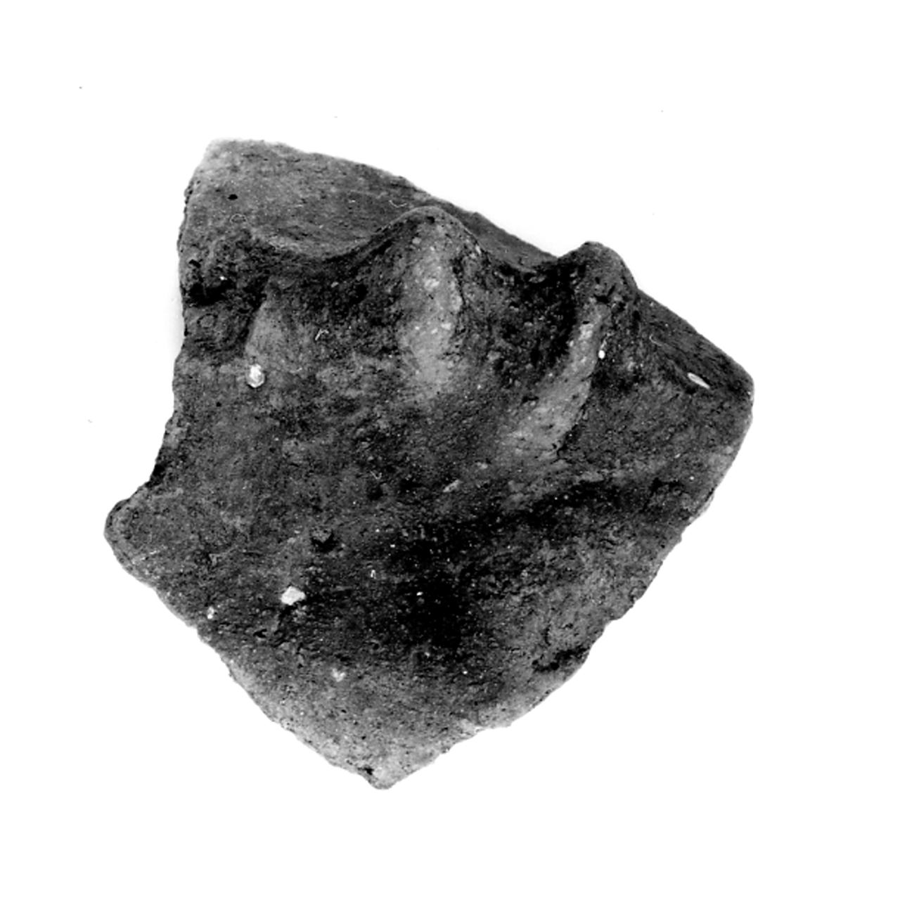 presa insellata - ambito berico-euganeo (secc. XIII/ XII a.C)