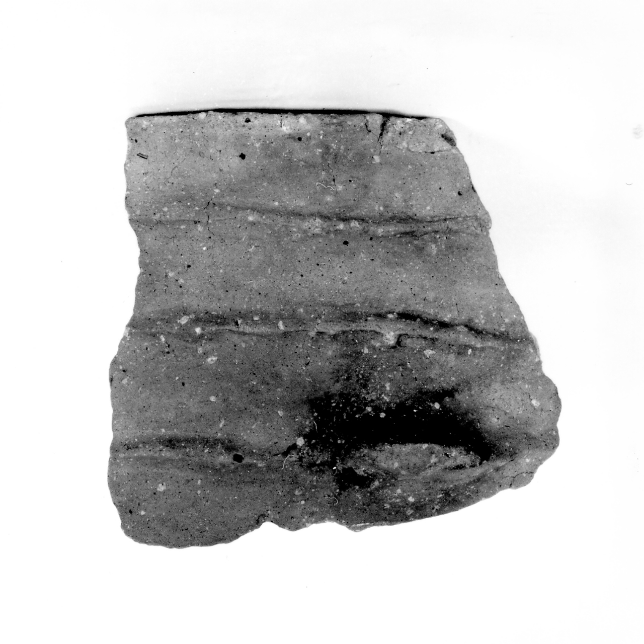 dolio cordonato con presa a lingua - ambito berico-euganeo (secc. XIII/ XII a.C)