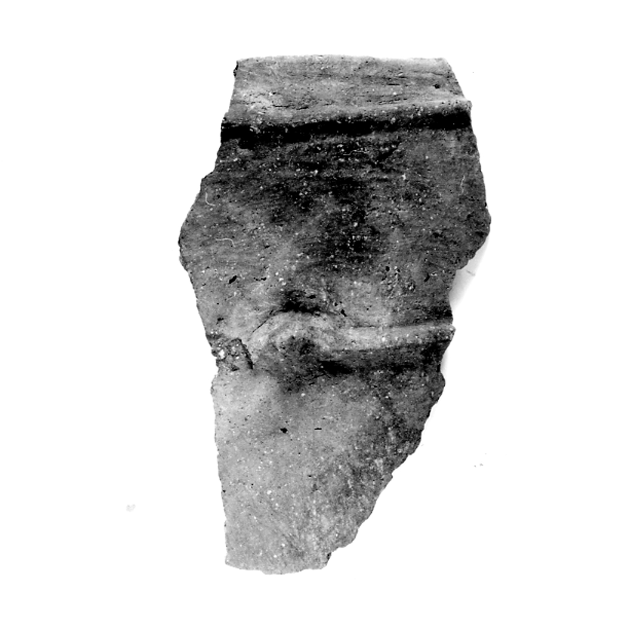dolio cordonato con presa - ambito berico-euganeo (secc. XIII/ XII a.C)