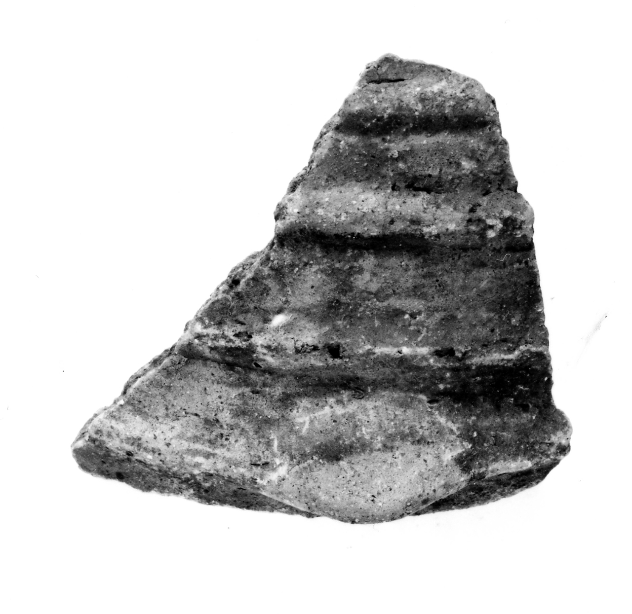 dolio cordonato con presa a lingua - ambito berico-euganeo (secc. XIII/ XII a.C)