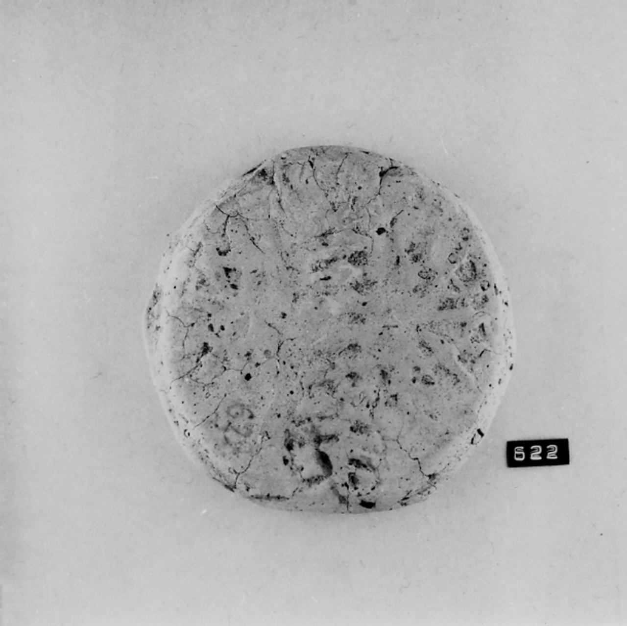 anfora/ frammento, Anfora romana (Dressel 6A) (secc. I/ III d.C)