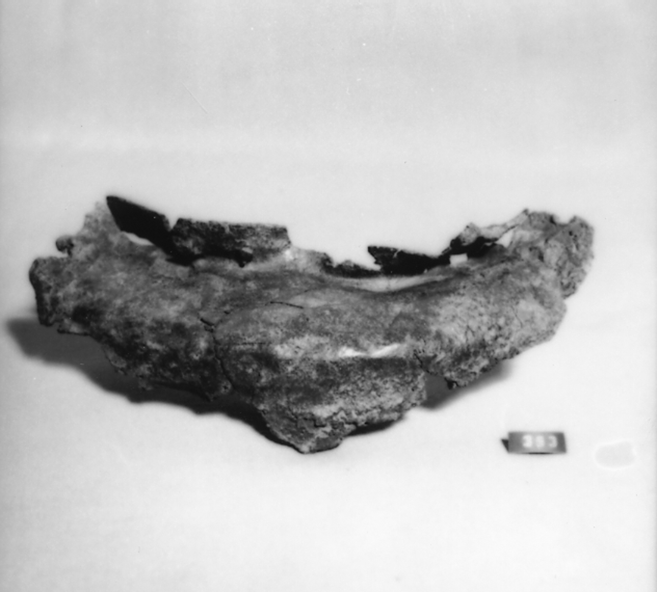 situla/ frammento, Situla bronzea - paleoveneto (secc. III/ I a.C)