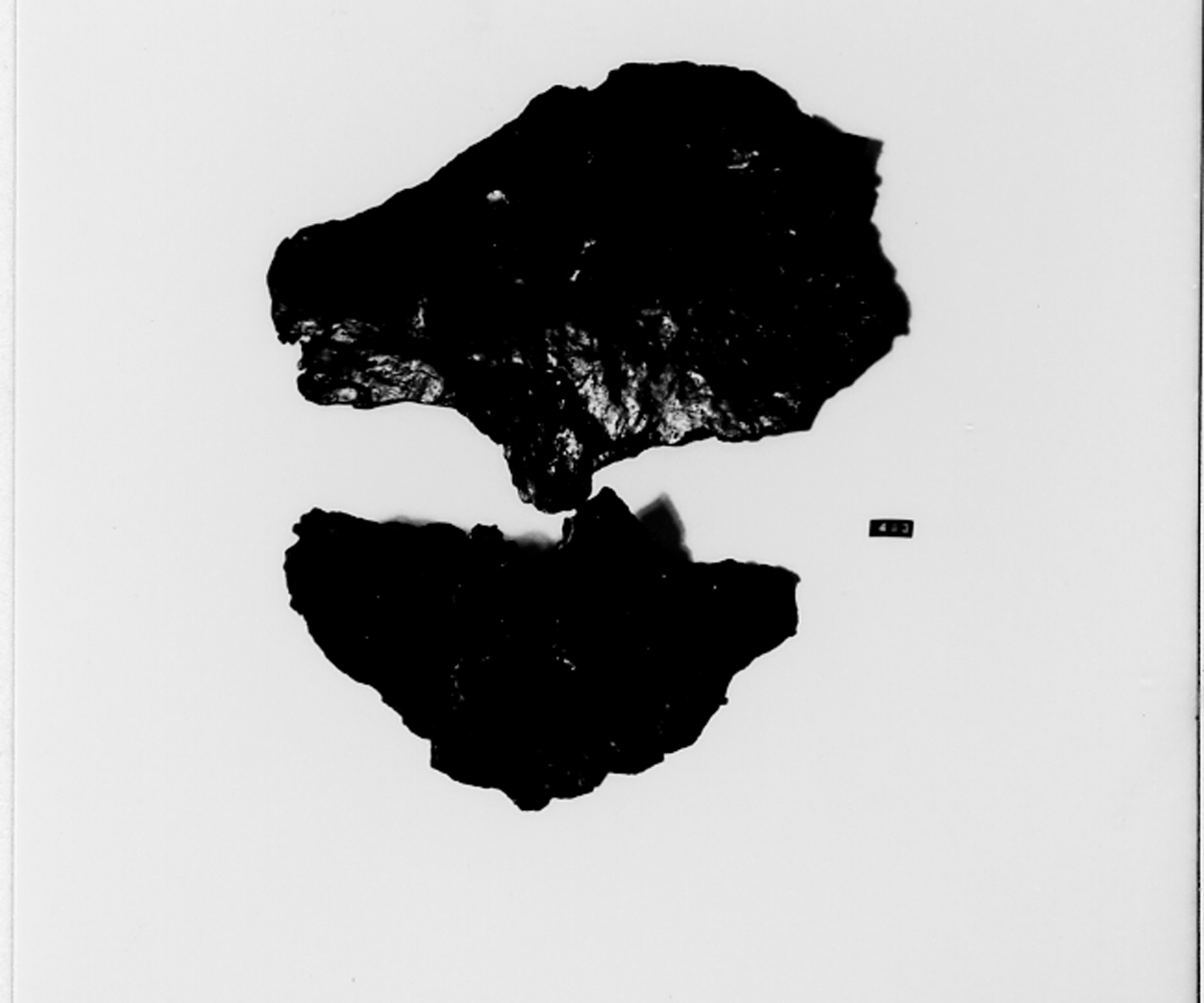 oggetto non identificato/ frammento, Lastre di scudo (?) - La Tène (III-I a.C)