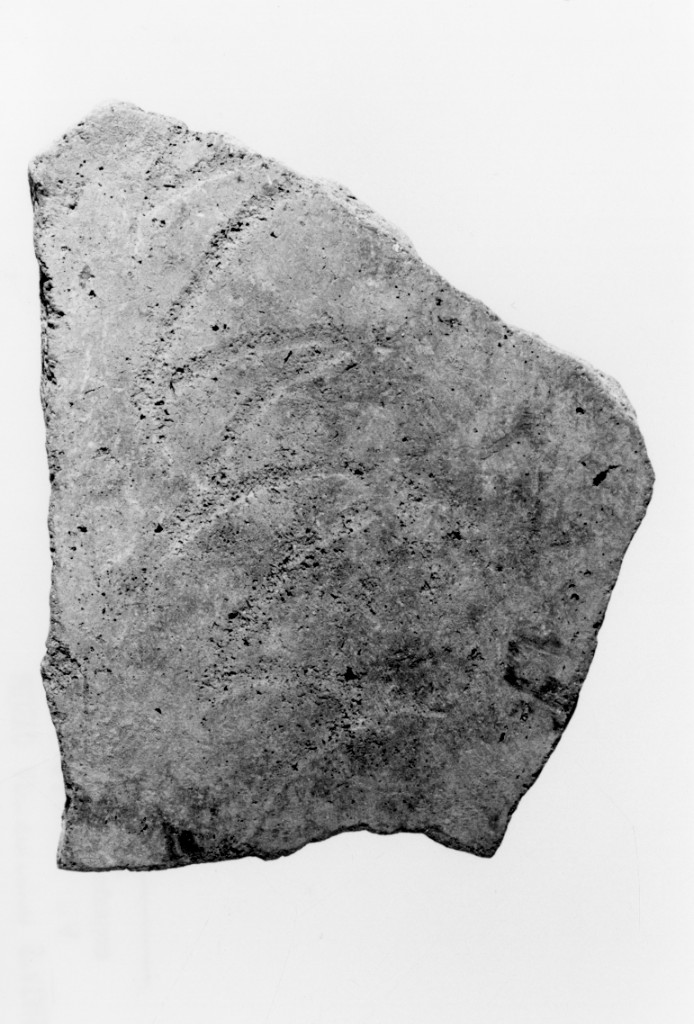 recipiente/ frammento (Neolitico Antico)