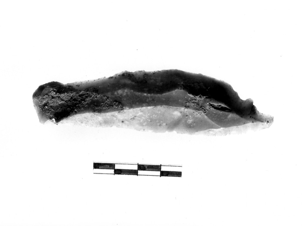denticolato - Neo-eneolitico 