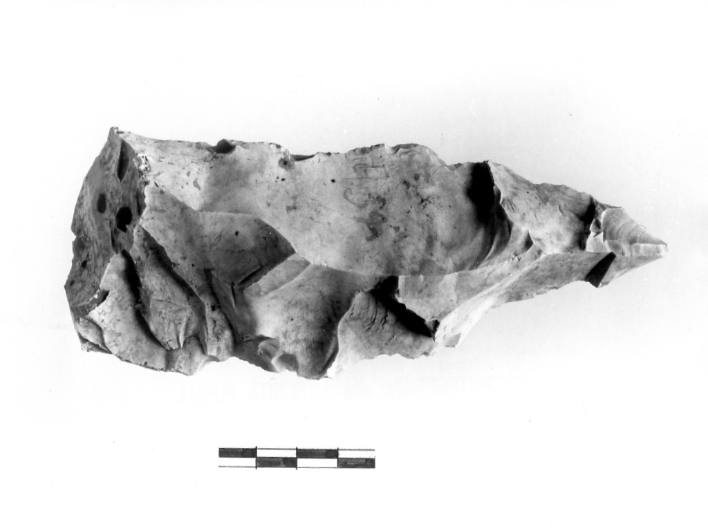 denticolato - Neo-eneolitico 