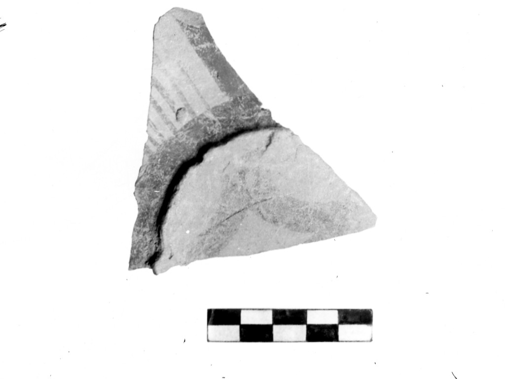 brocca/ frammento - Cultura Daunia, fase seconda (secc. VI-V a.C)