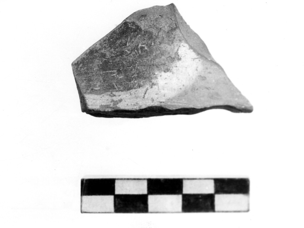 vaso/ frammento - Cultura di Passo di Corvo (Neolitico Tavoliere IVa (Neolitico medio)