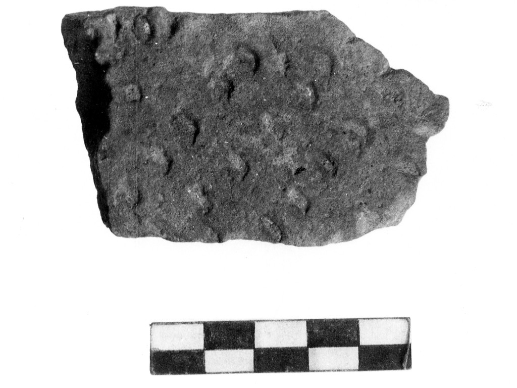 vaso/ frammento - Stile di Guadone (Neolitico inferiore)