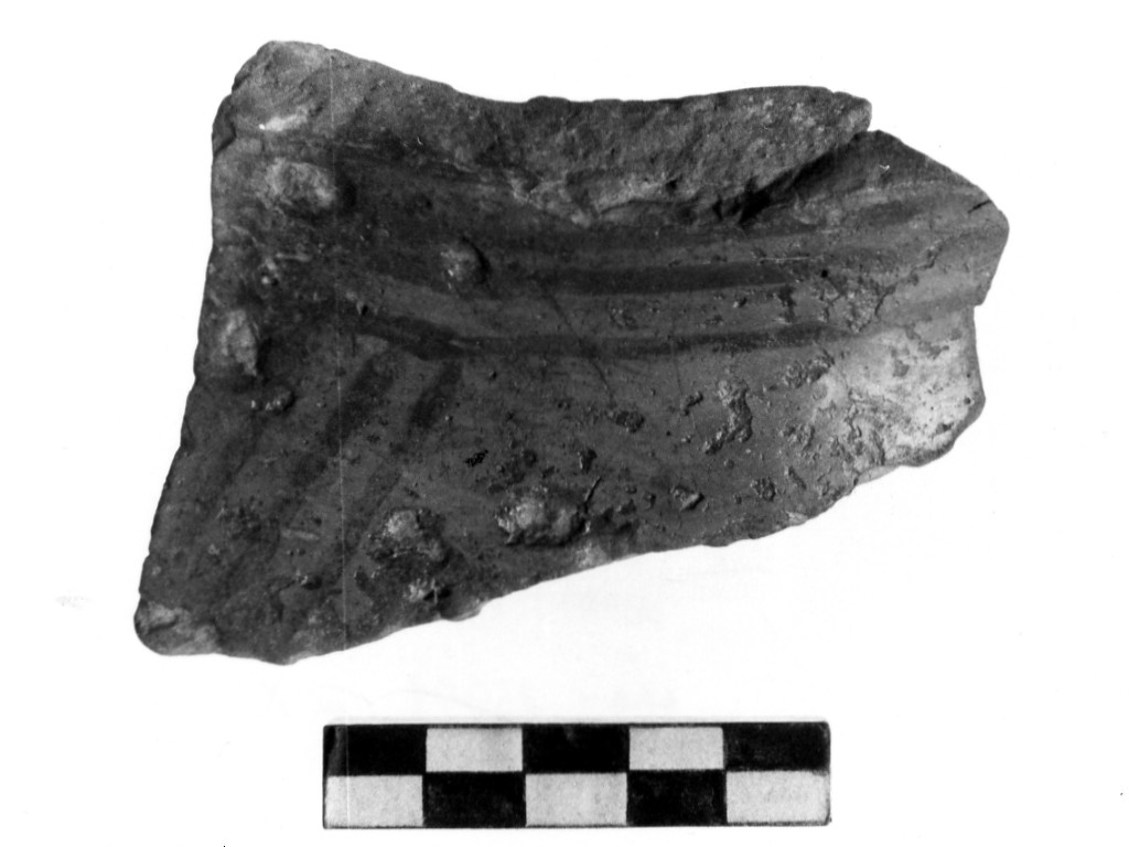 vaso/ frammento - Cultura di Masseria La Quercia (Neolitico inferiore)