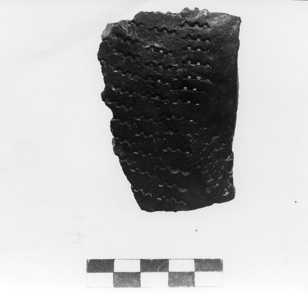 vaso/ frammento - Corrente culturale della ceramica impressa (Neolitico inferiore)