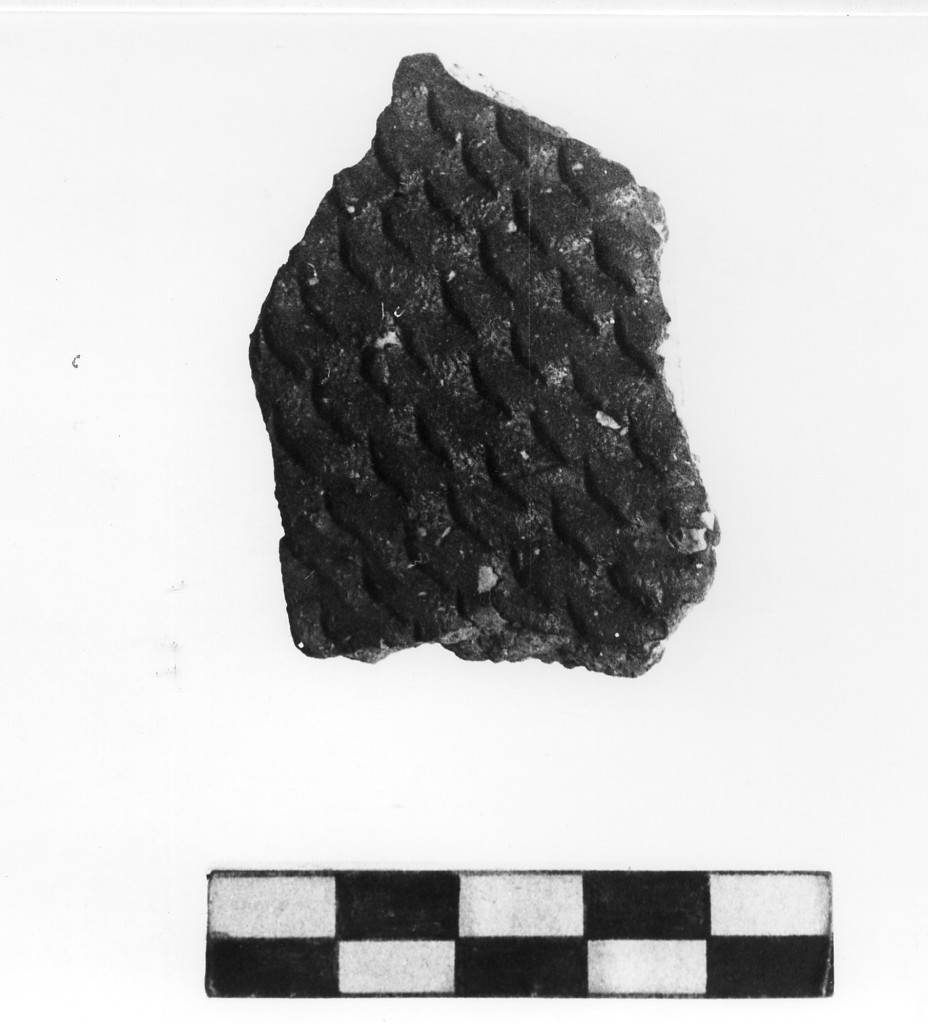 vaso/ frammento - Stile di Guadone (Neolitico inferiore)