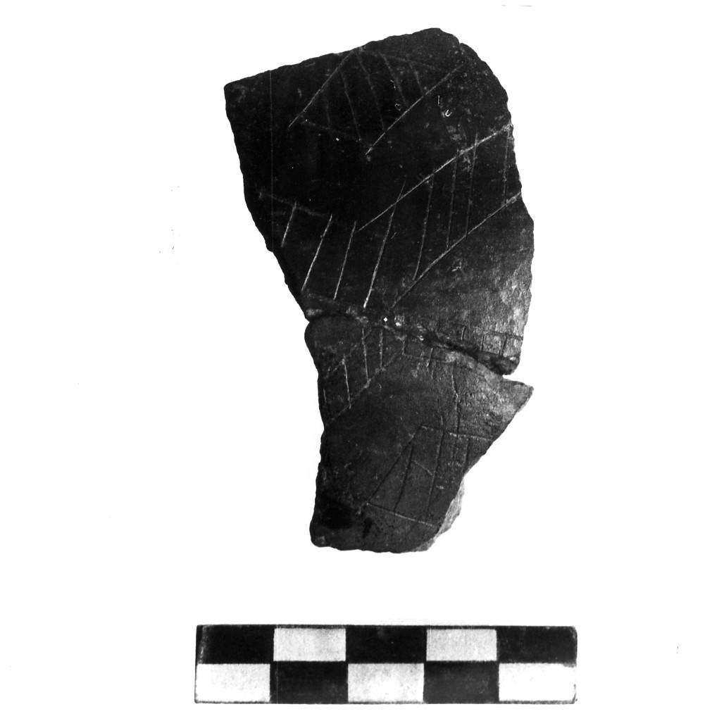 vaso/ frammento - Cultura di Masseria La Quercia (Neolitico inferiore)