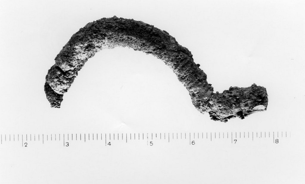 fibula a navicella - fabbrica indigena (seconda metà sec. IV a.C)