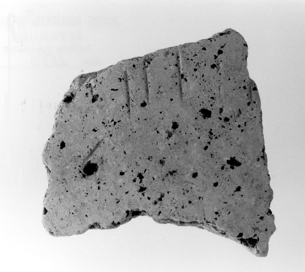 vaso/ parete (neolitico antico)