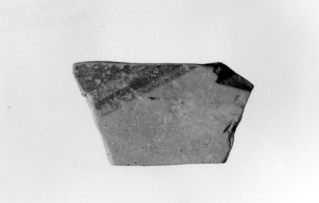 vaso/ parete (neolitico antico)