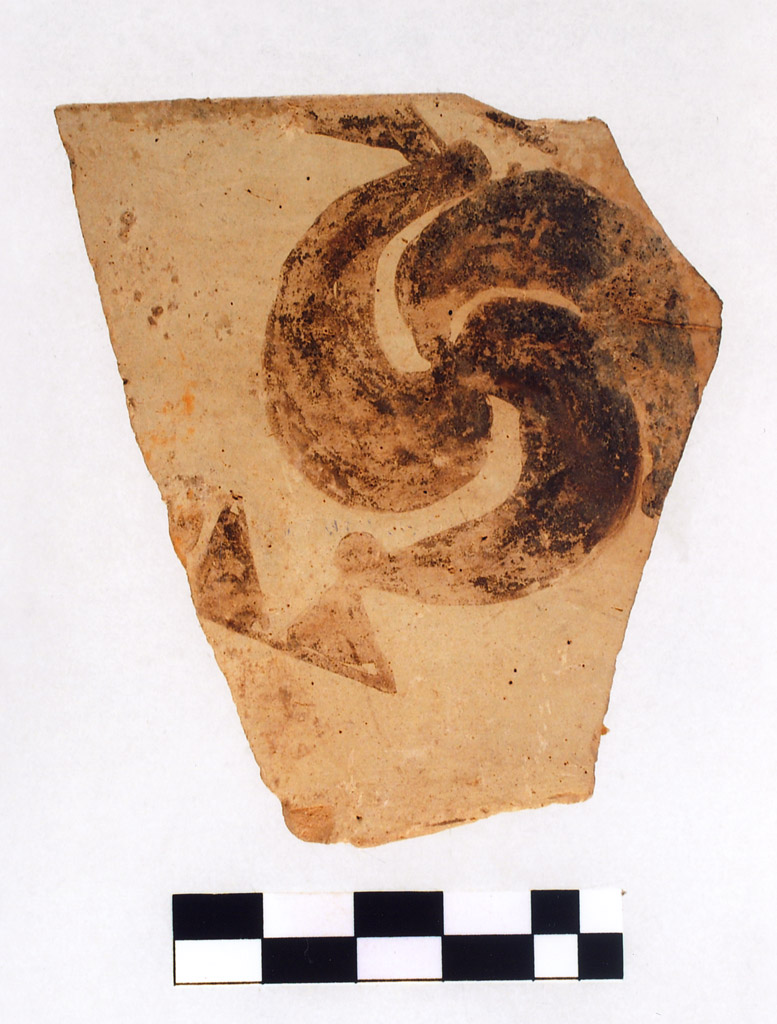 tazza/ frammento (neolitico superiore)