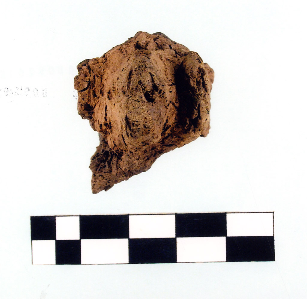 presa - Serra d' Alto (seconda metà IV millennio neolitico recente)