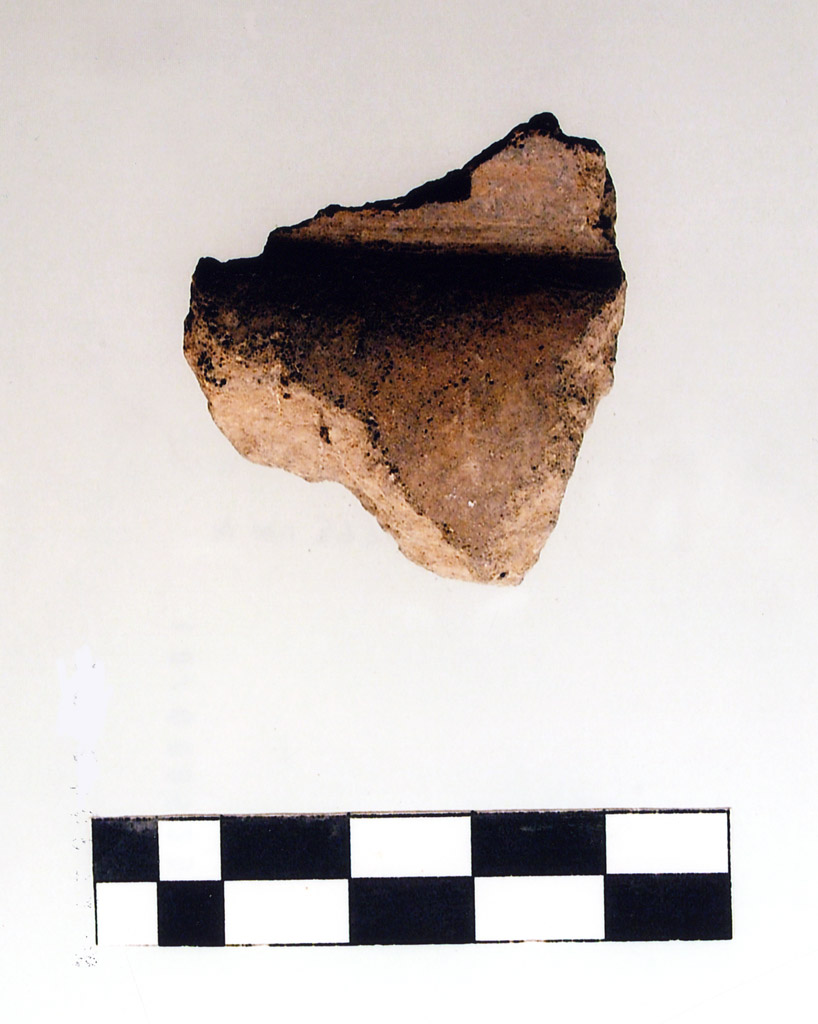 tazza carenata/ frammento - Diana (prima metà III millennio neolitico finale)