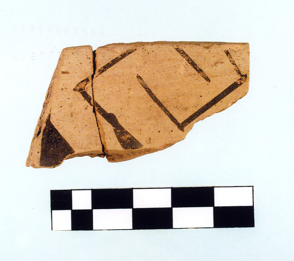 tazza/ frammento - Serra d' Alto (seconda metà IV millennio neolitico recente)