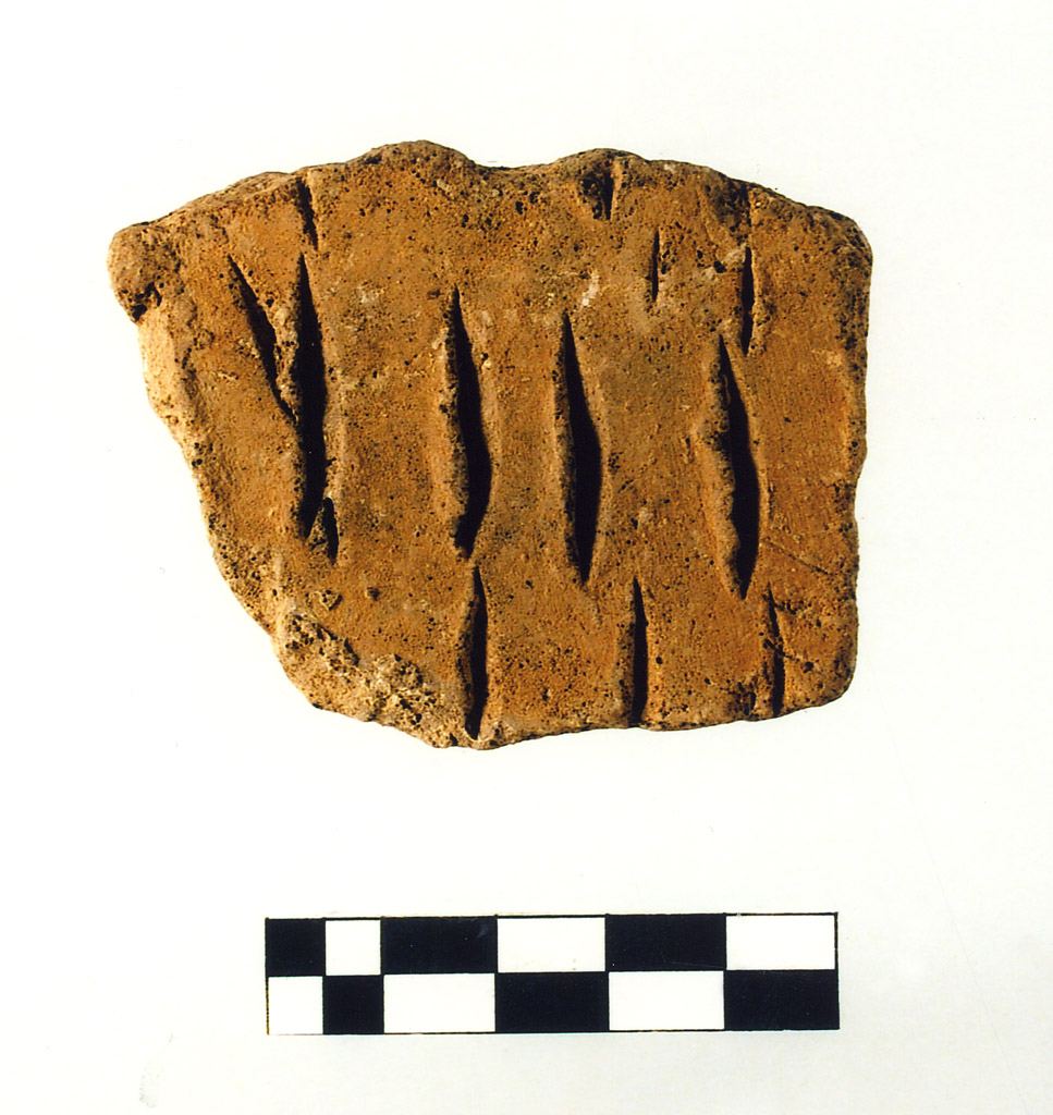 vaso/ parete - neolitico antico (prima metà V millennio millennio VI/ V a.C)