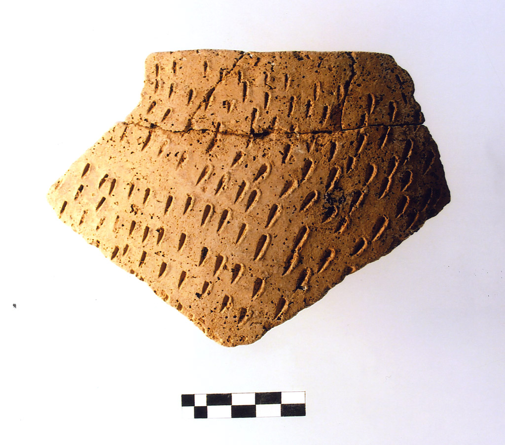 olla - neolitico antico (prima metà V millennio millennio VI/ V a.C)