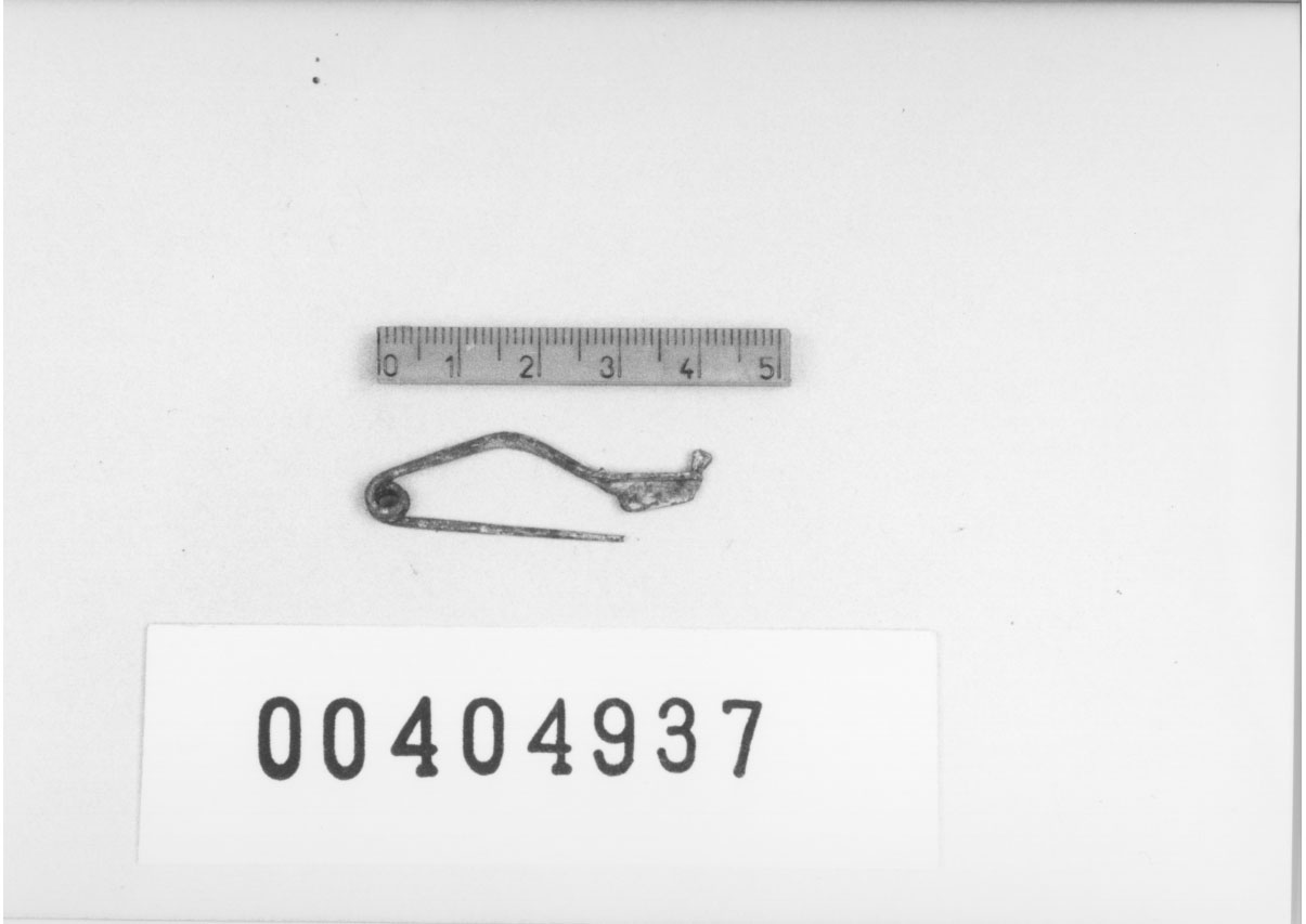 Fibula, Guzzo, tipo D-II (VI a.C, V a.C)