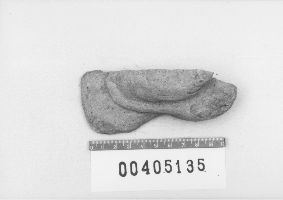 Organo genitale maschile (Votivo anatomico, Fregellae, tipo H VI) (III a.C, II a.C)