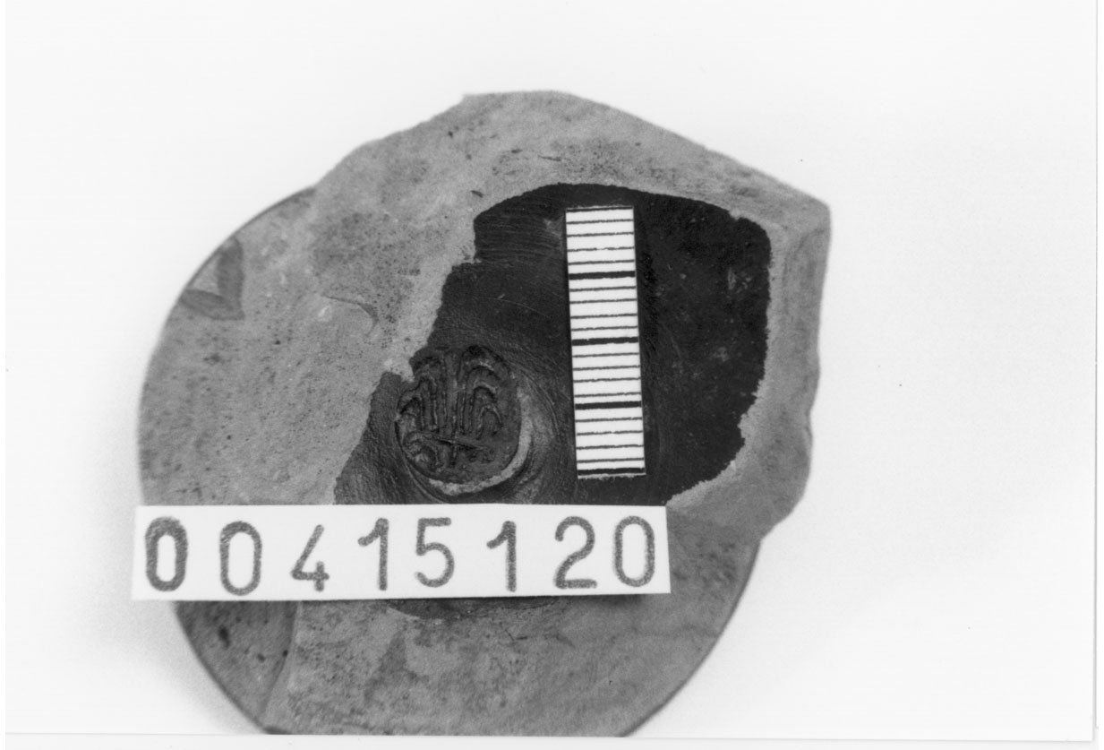 Piede, Morel, specie 211 b (III a.C, II a.C)
