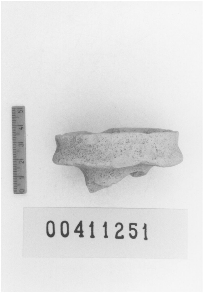 Vasetto ovoide, Pavolini, tipo 17 b (Fine, Prima metÍ I d.C, II d.C)