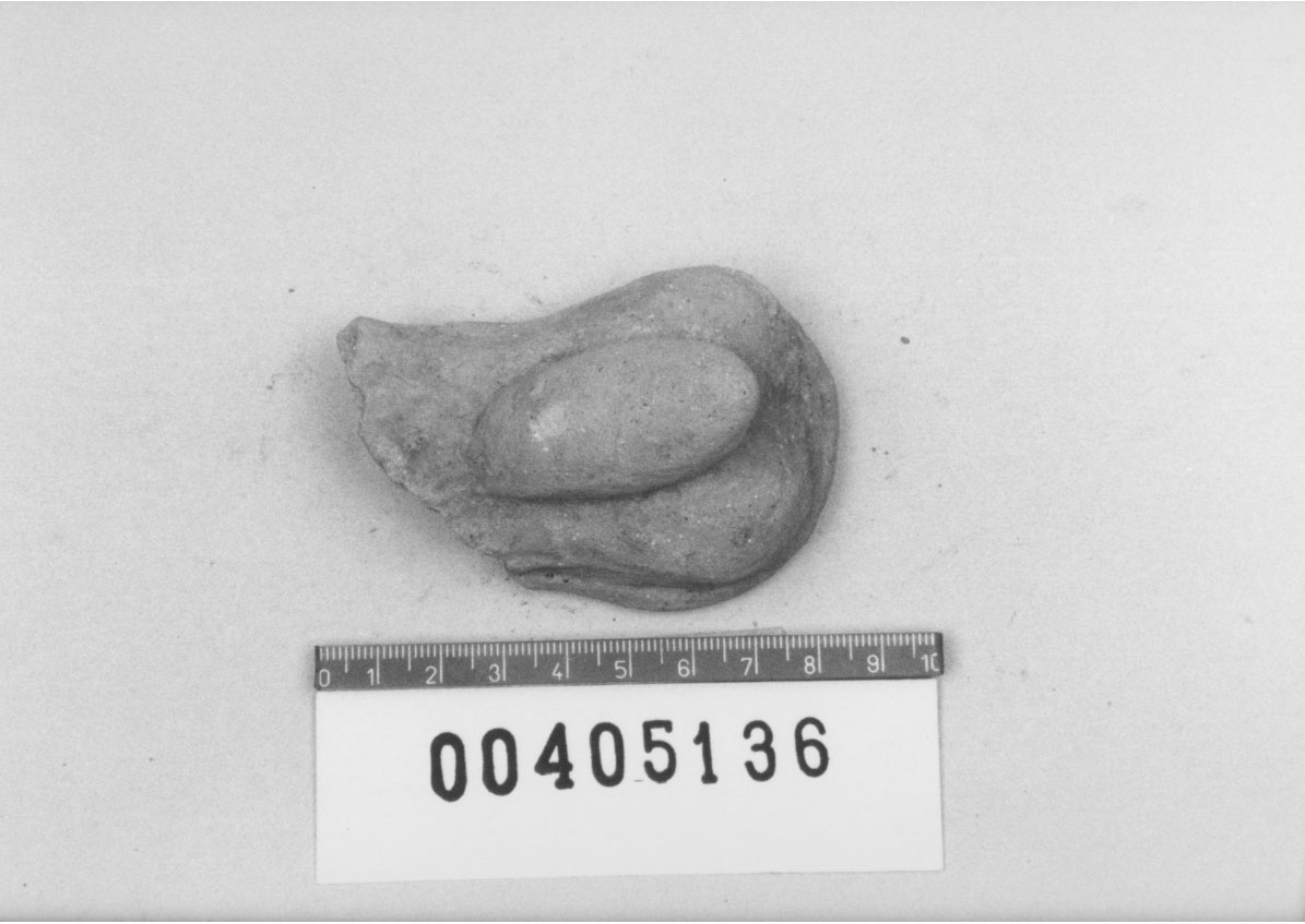 Organo genitale maschile (Votivo anatomico, Fregellae, tipo H III) (III a.C, II a.C)