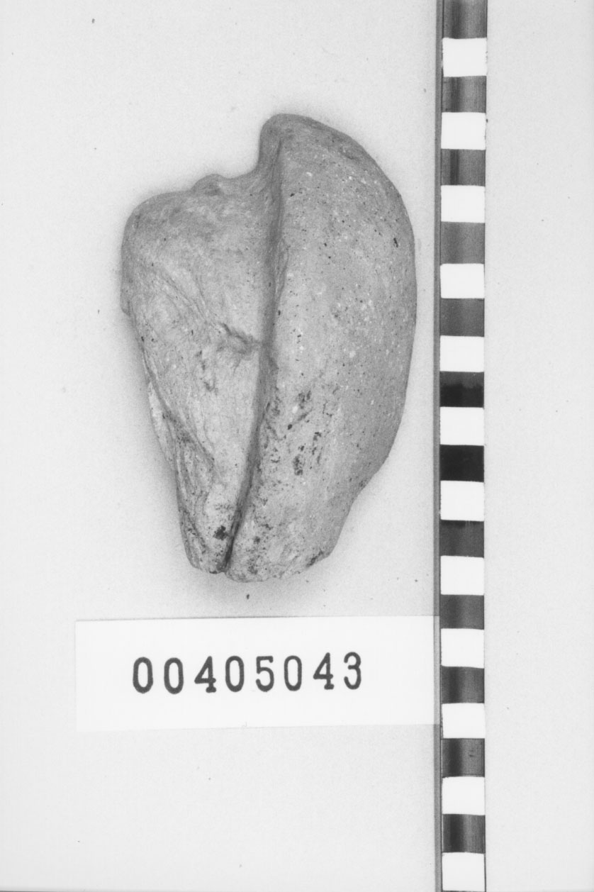 Figura femminile (Mezza testa, Fregellae, tipo A II beta a) (III a.C, II a.C)