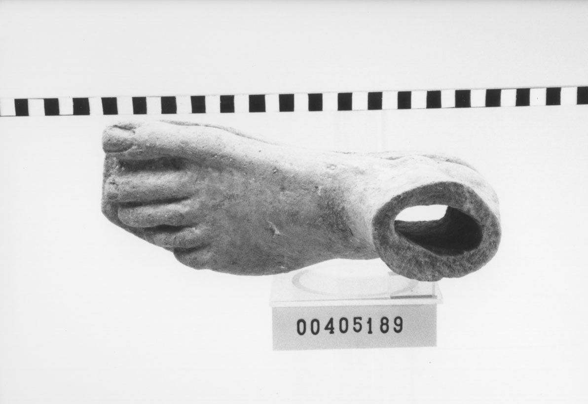 Piede sinistro (Votivo anatomico, Fregellae, tipo NS I) (III a.C, II a.C)