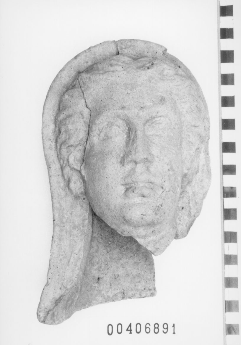 Figura femminile (Testa, Fregellae, tipo A 2 III) (III a.C, II a.C)