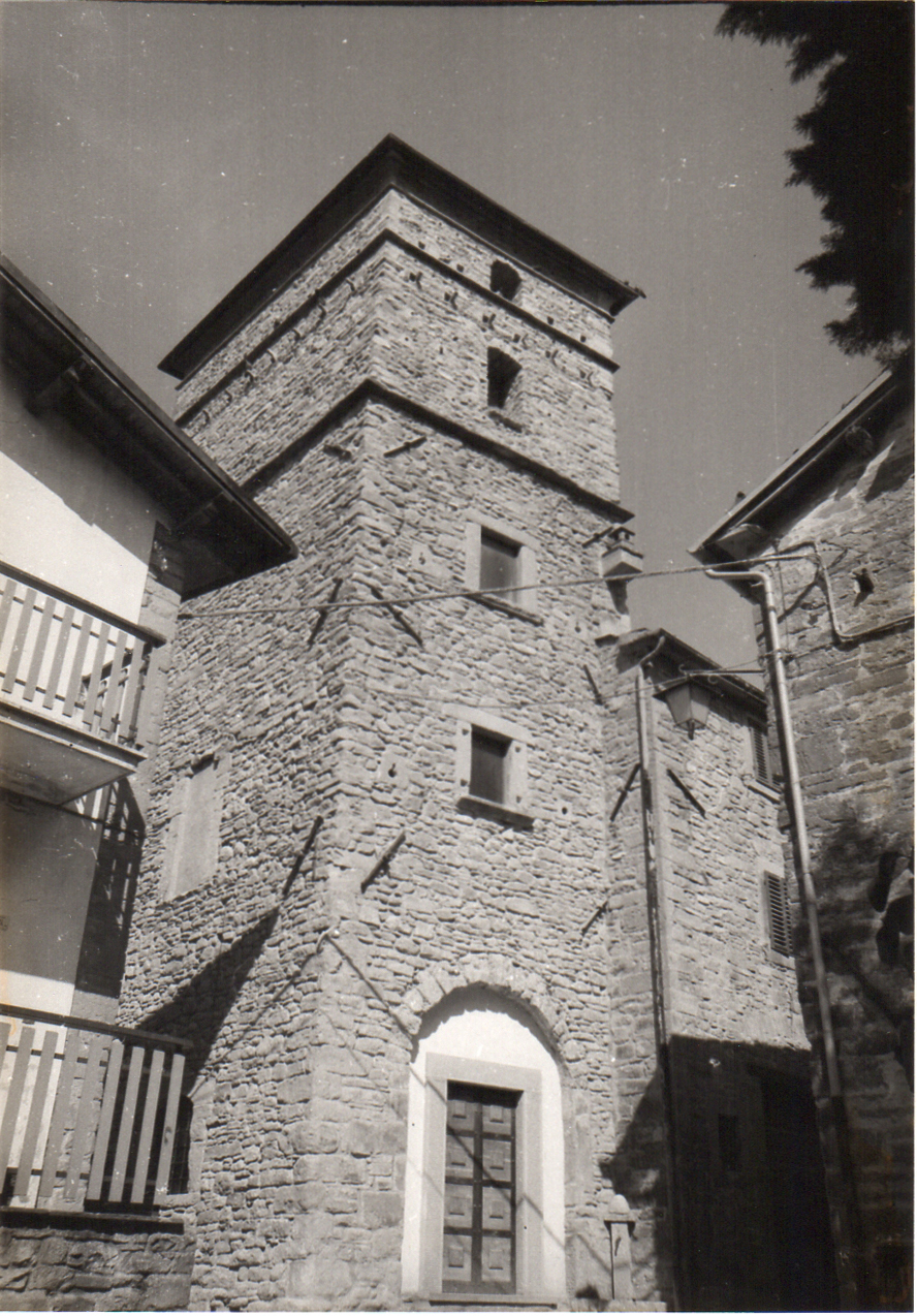 Torre di Bocconi (casa, a torre) - Portico e San Benedetto (FC) 