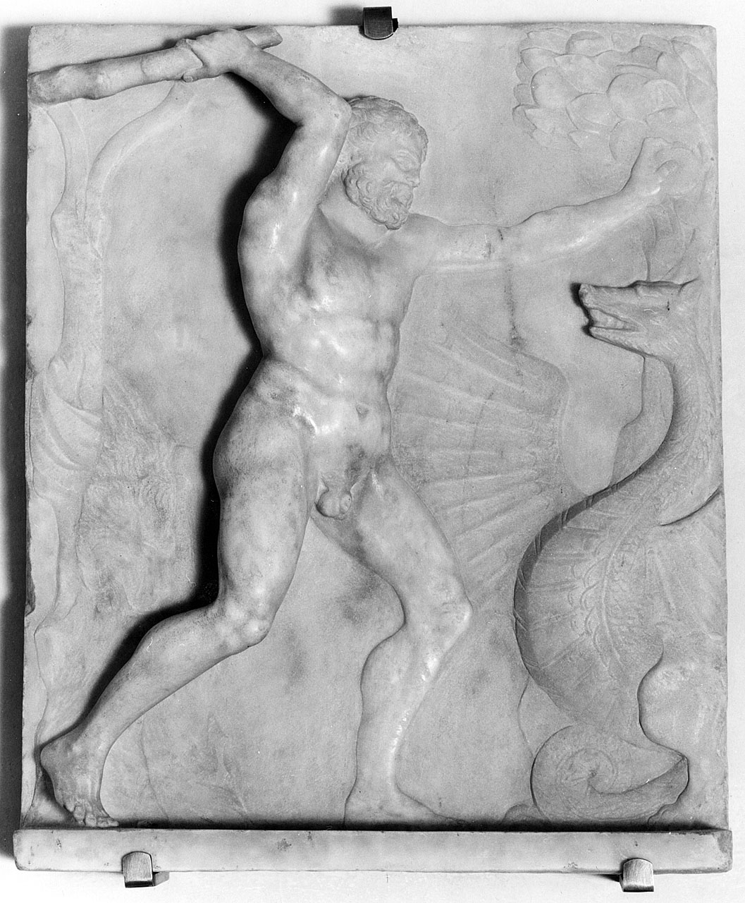 Ercole e il drago delle Esperidi (rilievo) di Ammannati Bartolomeo (bottega) (sec. XVI)