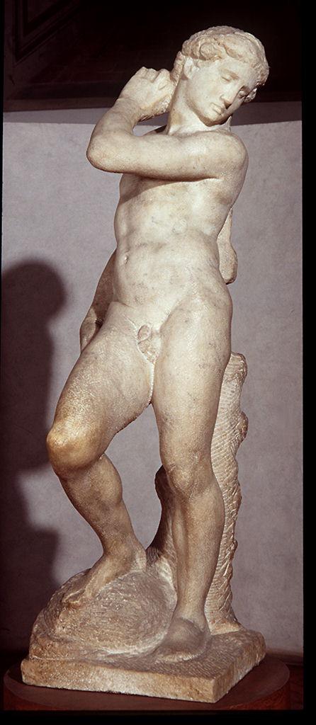 David-Apollo (statua) di Buonarroti Michelangelo (sec. XVI)