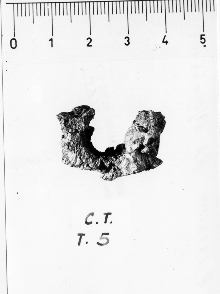 anello/ frammento - deposizione longobarda (seconda metà sec. VII d.C)
