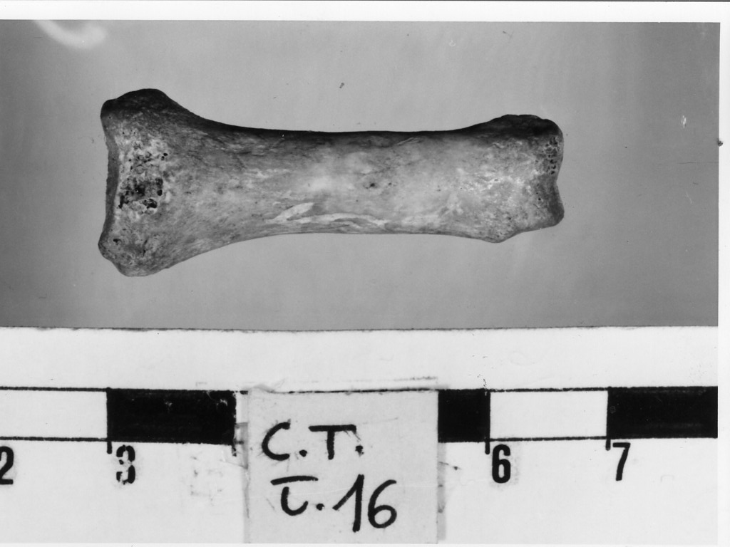 osso - deposizione longobarda (prima metà sec. VII d.C)