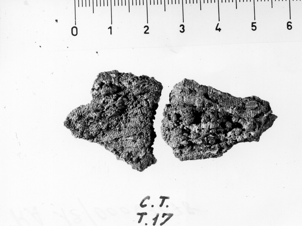 oggetto non id - deposizione longobarda (fine/ fine secc. VI d.C. - VII d.C)
