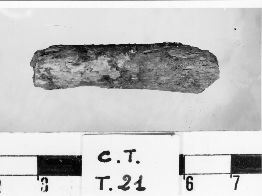 osso - deposizione longobarda (fine/ fine secc. VI d.C. - VII d.C)