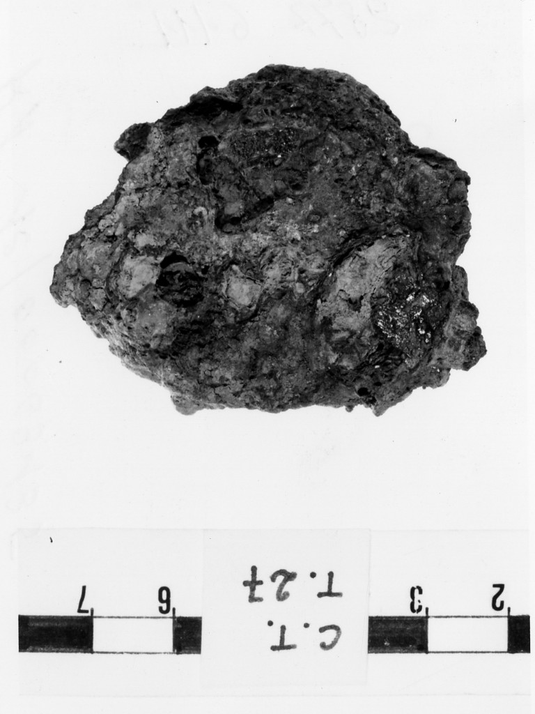 fibbia/ frammento - deposizione longobarda (prima metà sec. VII d.C)